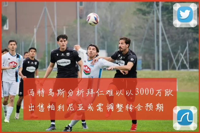 马特乌斯分析拜仁难以以3000万欧出售帕利尼亚或需调整转会预期